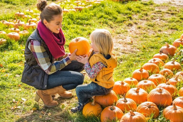 fall activities picking pumpkins