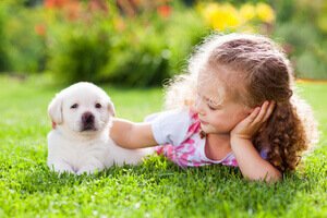 importance of cleaning up pet waste