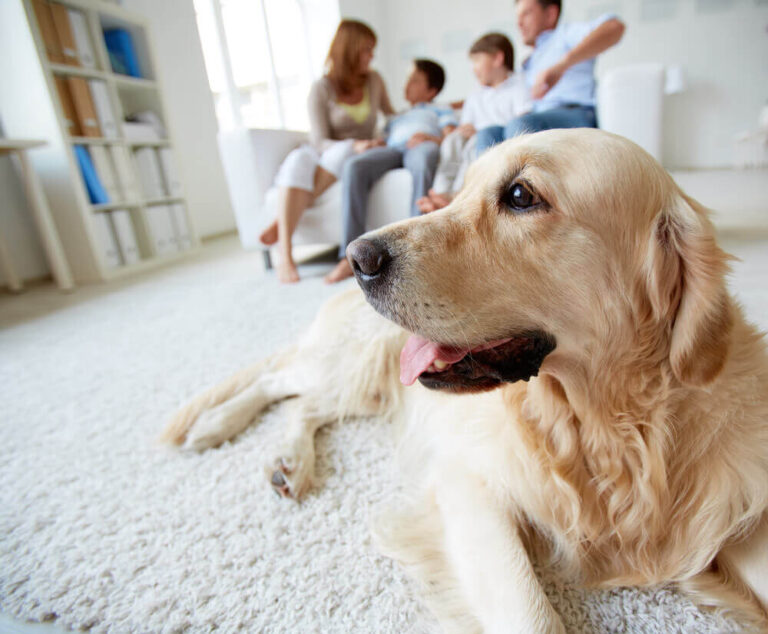 family renting with pet dog