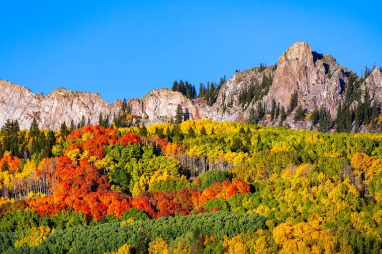 rocky mountains with aspen trees changing colors in the fall